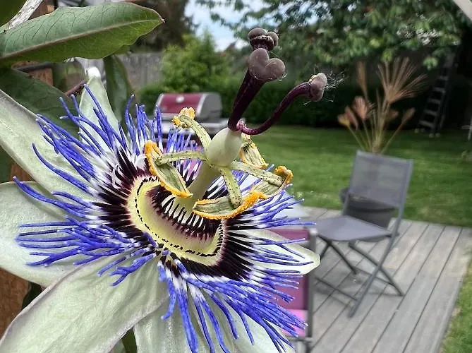 A La Ferme De Thilloy 3* Ligny-Thilloy