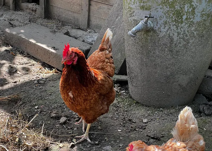 A La Ferme De Thilloy 3* Ligny-Thilloy